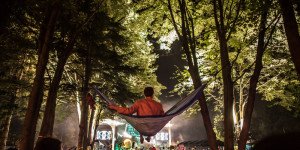 electric forest hammock swag