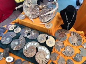 The Tucson Gem Show. Credit: Valetta Chatokhin